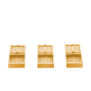 Type 6 Embedding Cassettes