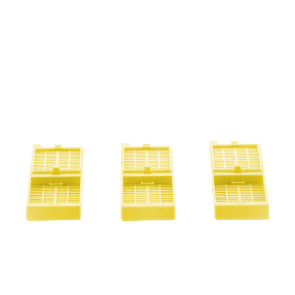 Yellow Type 6 Embedding Cassettes