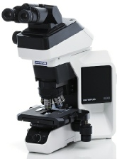 Refurbished Olympus BX46 Microscope