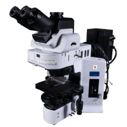 Olympus BX61 Microscope