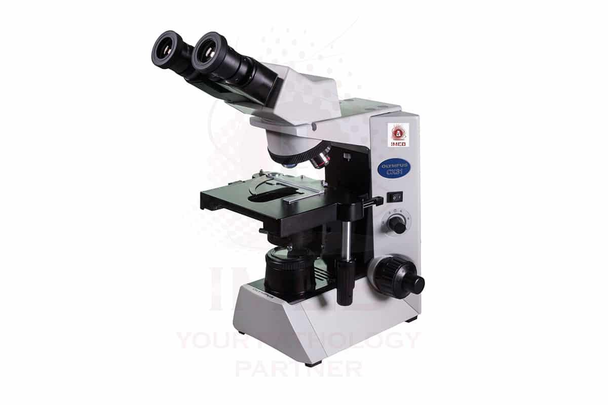 Olympus CX31 Microscope