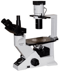 Olympus CK40 Microscope