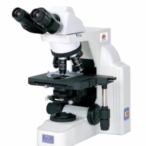 Nikon Eclipse E400 Microscope