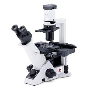 Olympus CKX41 Inverted Microscope