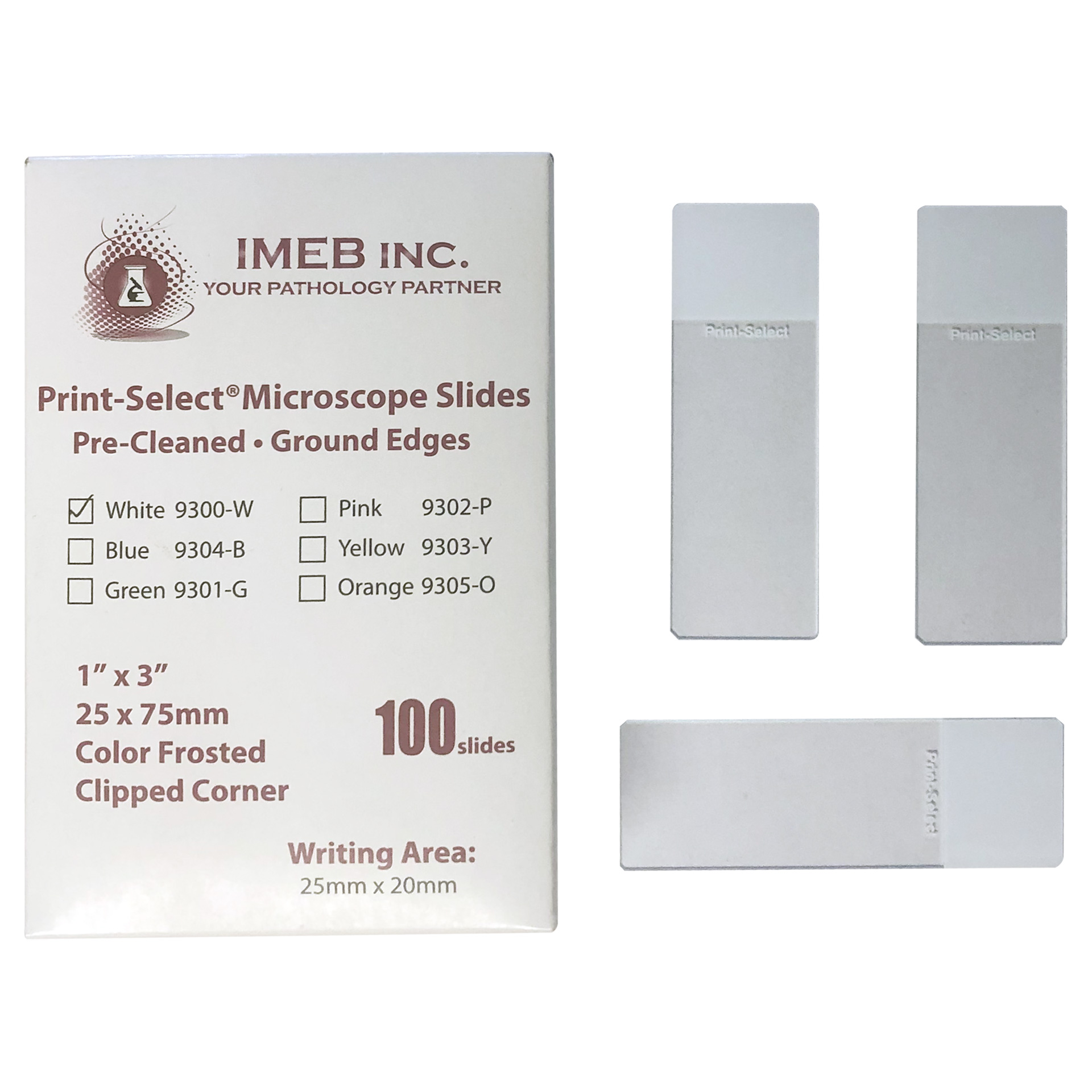 thumbnail image 2 of RPI Microscope Grid Slides - 1x3 Inch Glass Slides With 81 Squares, 72 Slides Per Pack 2 of 3