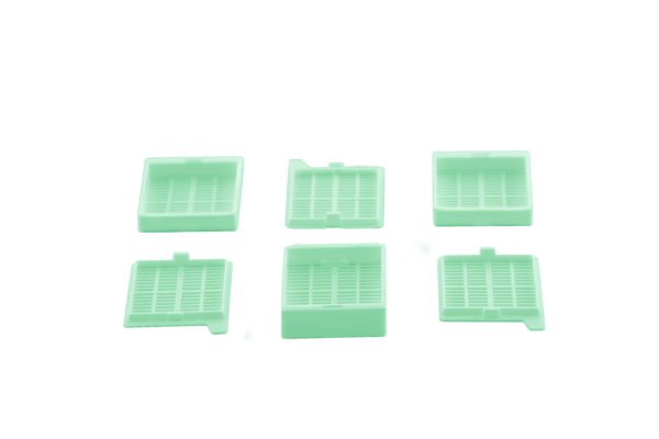 Green bulk biopsy cassette