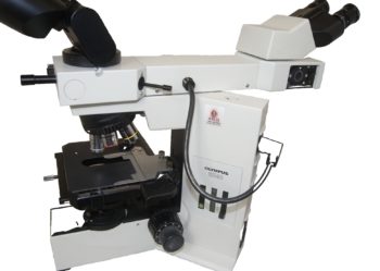 Refurbished Olympus BX40 Dual, Face to Face