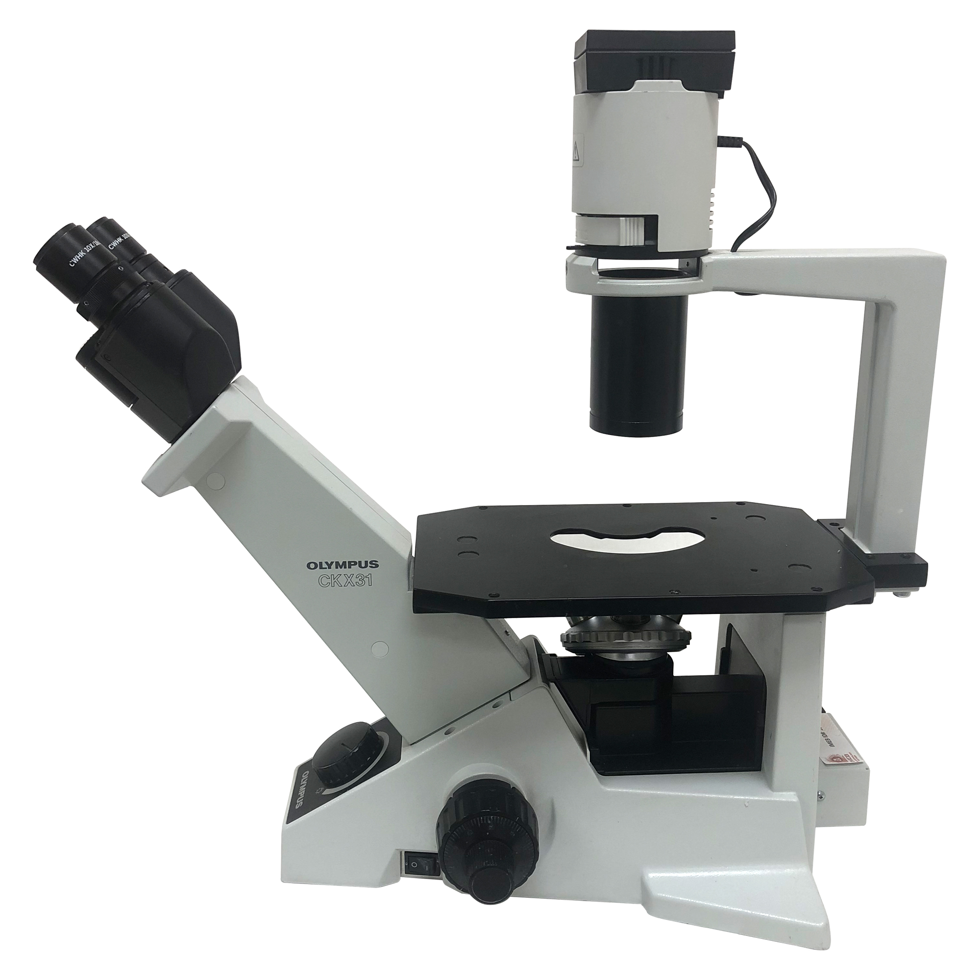 Olympus CKX31 binocular microscope