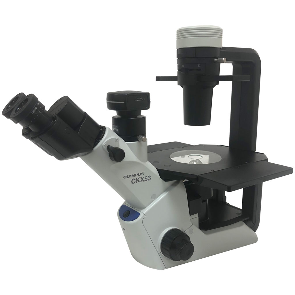 Olympus CKX31 binocular microscope