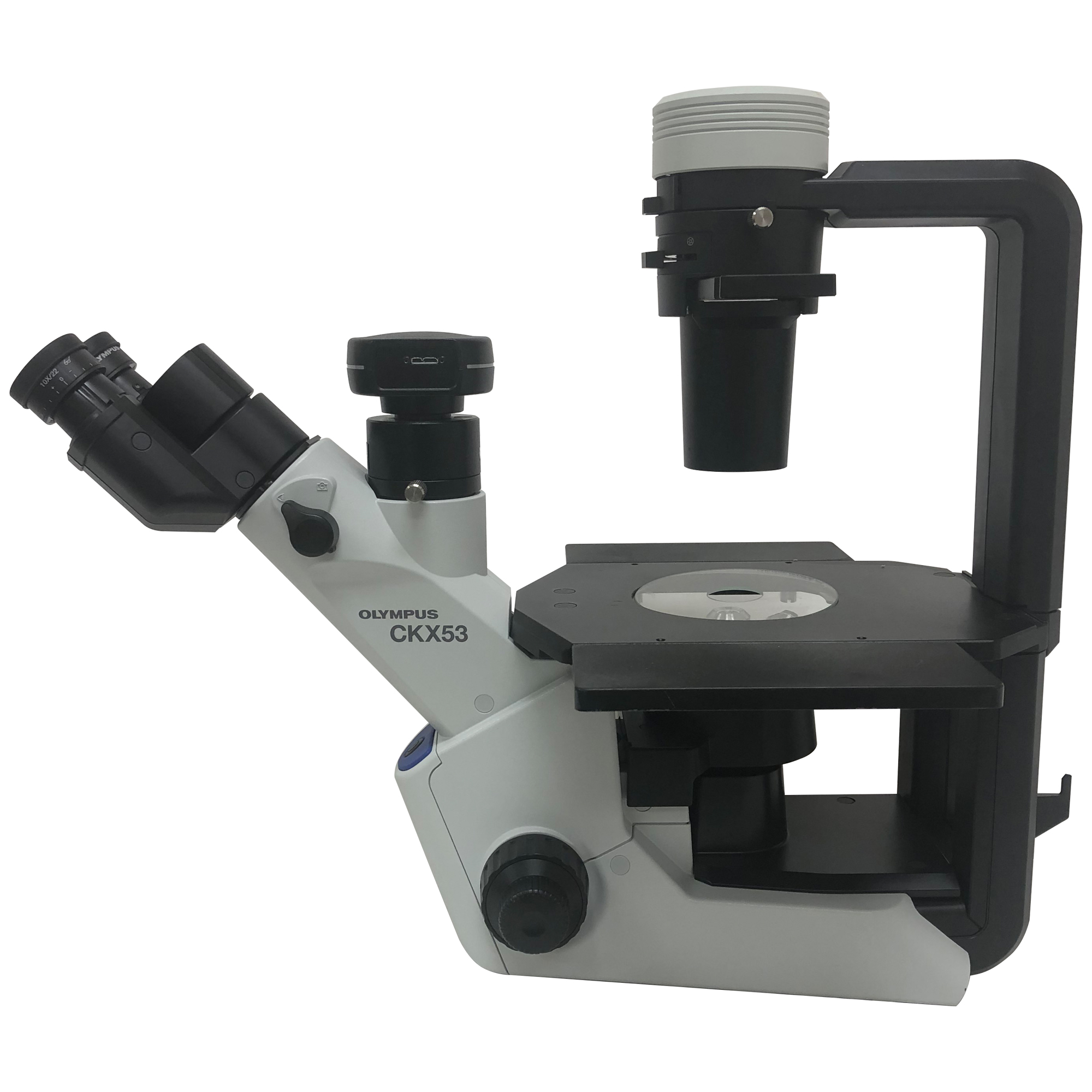 Olympus CKX53 trinocular microscope