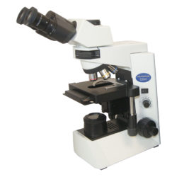 CX41 Microscope
