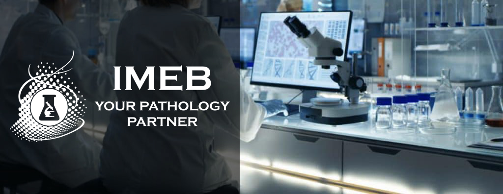 About IMEB Inc shows a photo of a lab with a microscope and computer screen with two lab professional technicians.