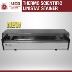 New Linistat Stainer