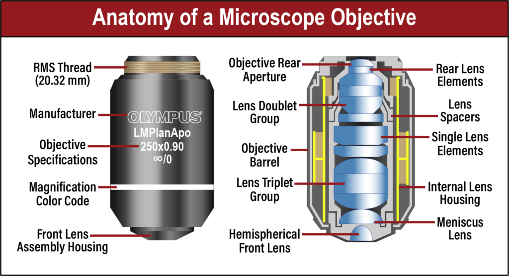 Anatomy of an Olympus Microscope Objective, RMS Thread (20.32 mm), Manufacturer, Objective Specifications, Magnification Color Code, Front Lens Assembly Housing, Objective Rear Aperture, Lens Doublet Group, Objective Barrel, Lens Triplet Group, Hemispherical Front Lens, Rear Lens Elements, Lens Spacers, Single Lens Elements, Internal Lens Housing, Meniscus Lens