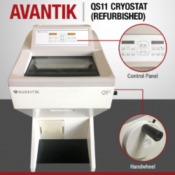 Avantik QS11 with callouts