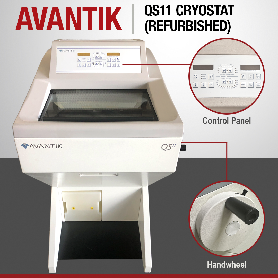 Avantik QS11 with callouts