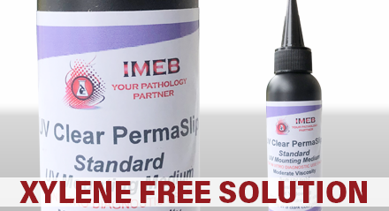 Front Page Banner Xylene Free Solution