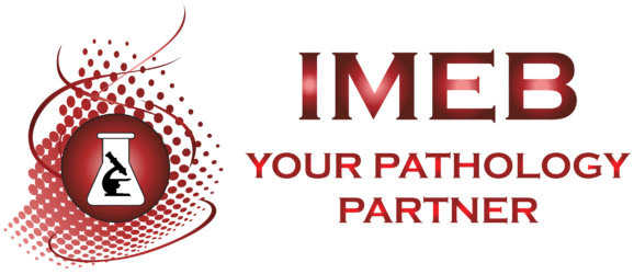 IMEB LOGO FULL