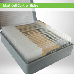 Mast Cells Control Slides