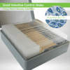 Small Intestine Control Slide Set