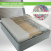 Uterus Control Slide Set