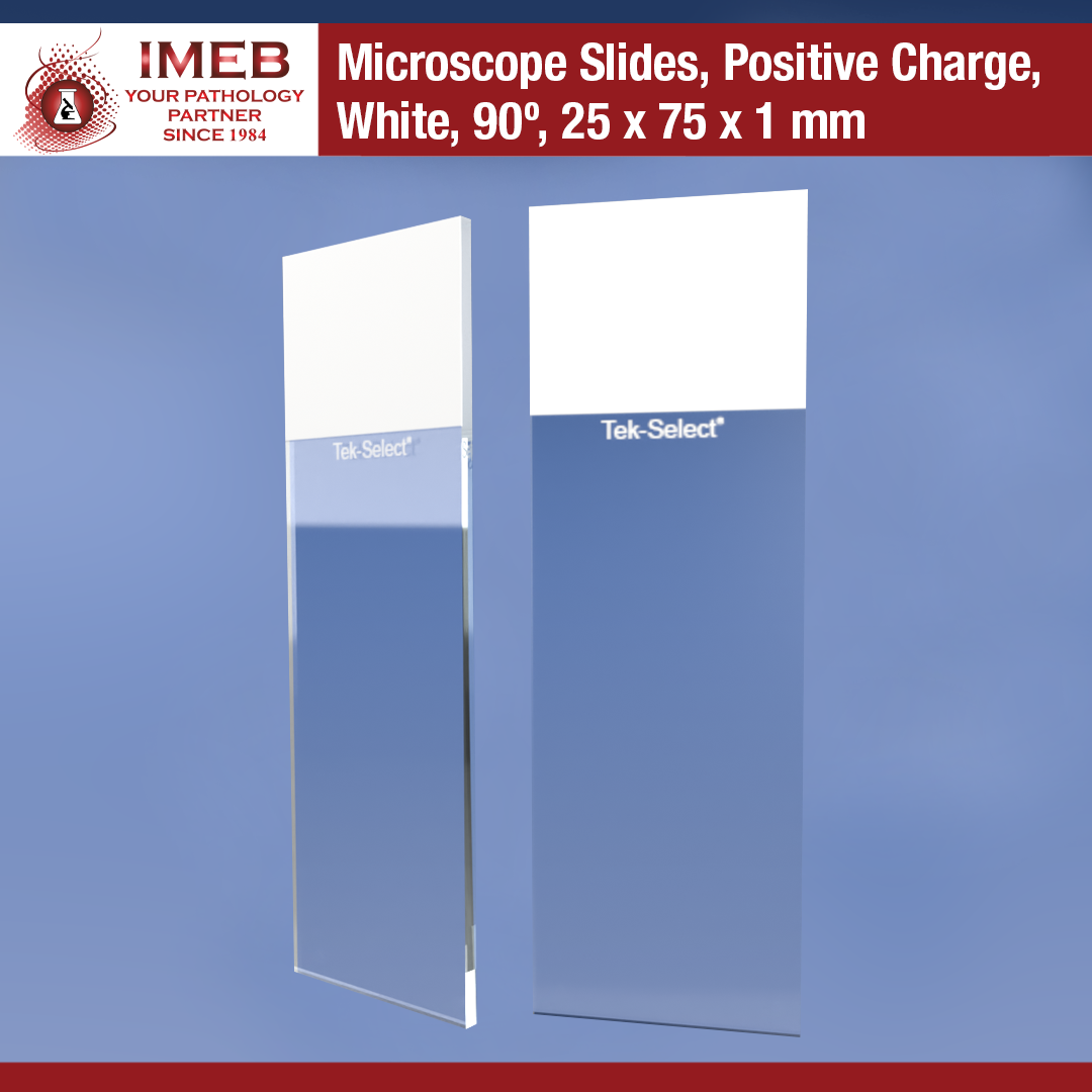 Microscope Slides Positive Charge White 90 degrees