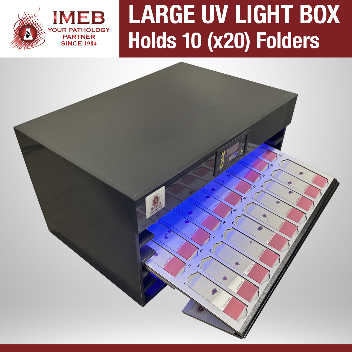 Large UV Light Box