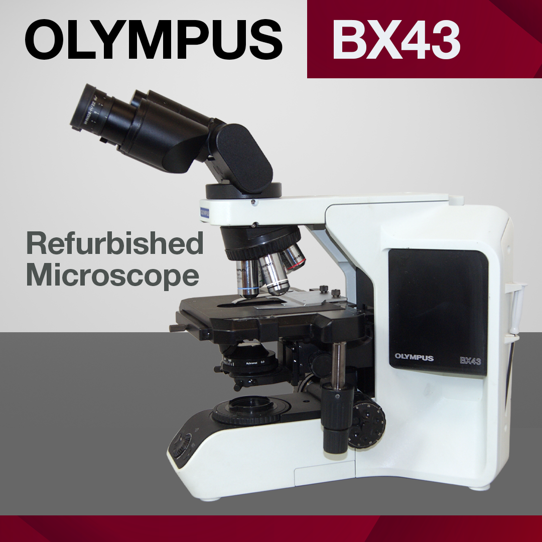 BX43 Olympus microscope refurbished by IMEB Inc