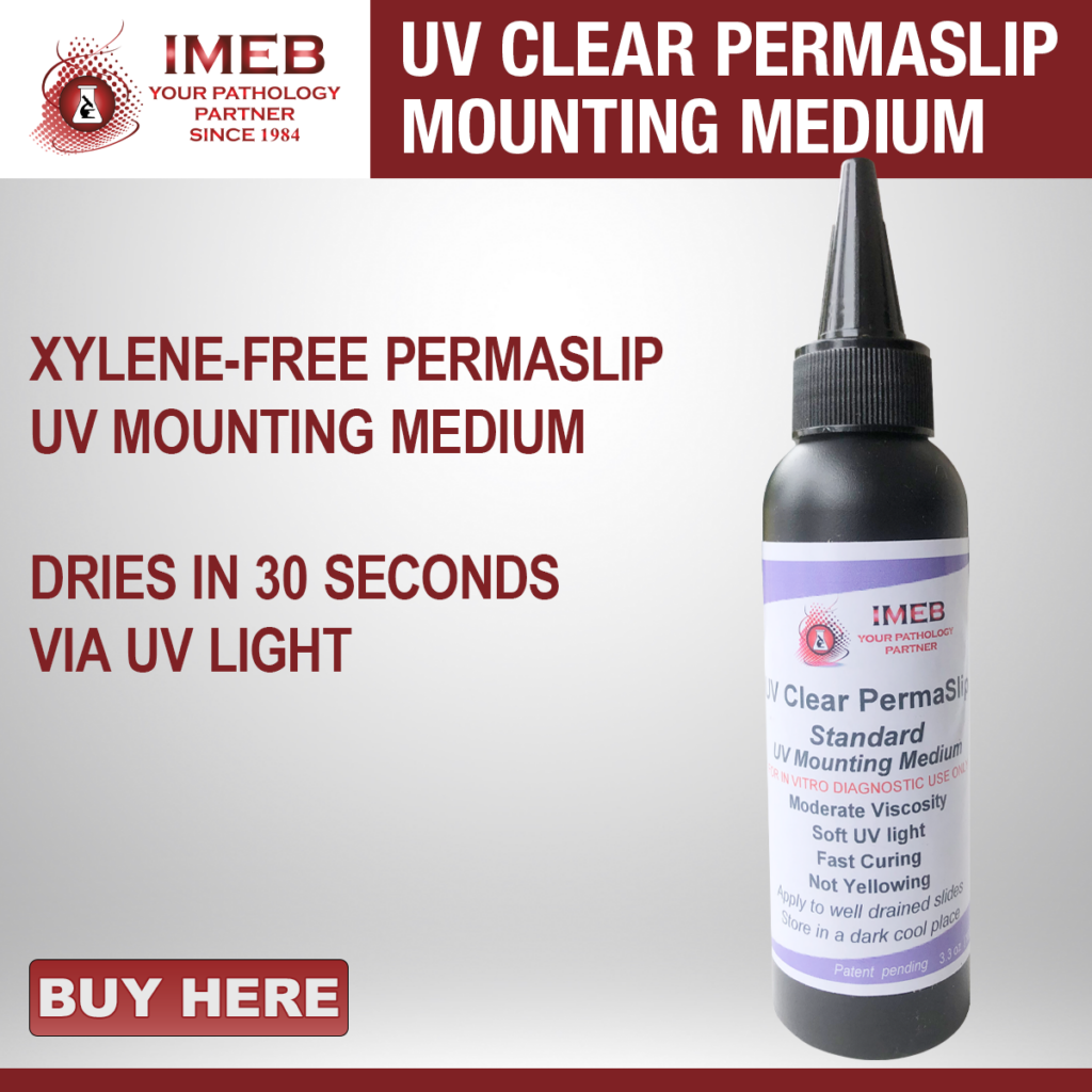 2026 Xylene Free Mounting Medium 1 Bottle
