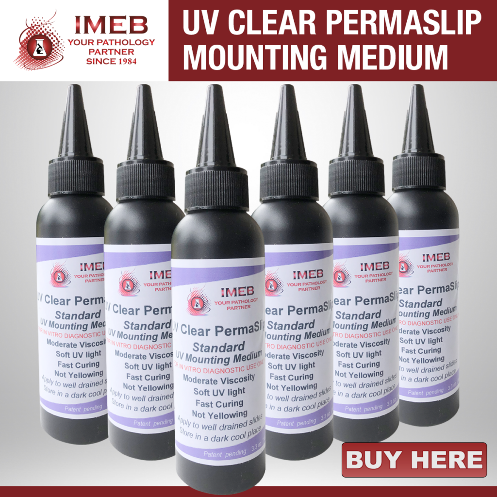 2026 Xylene Free Mounting Medium 6 Bottles Buy Here