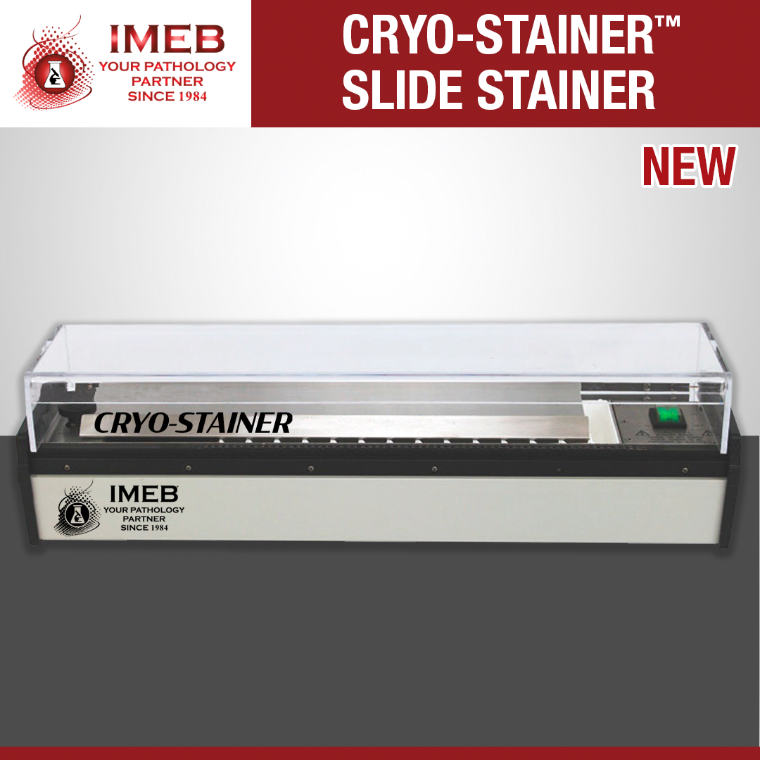 IMEB Cryo-Stainer slide stainer