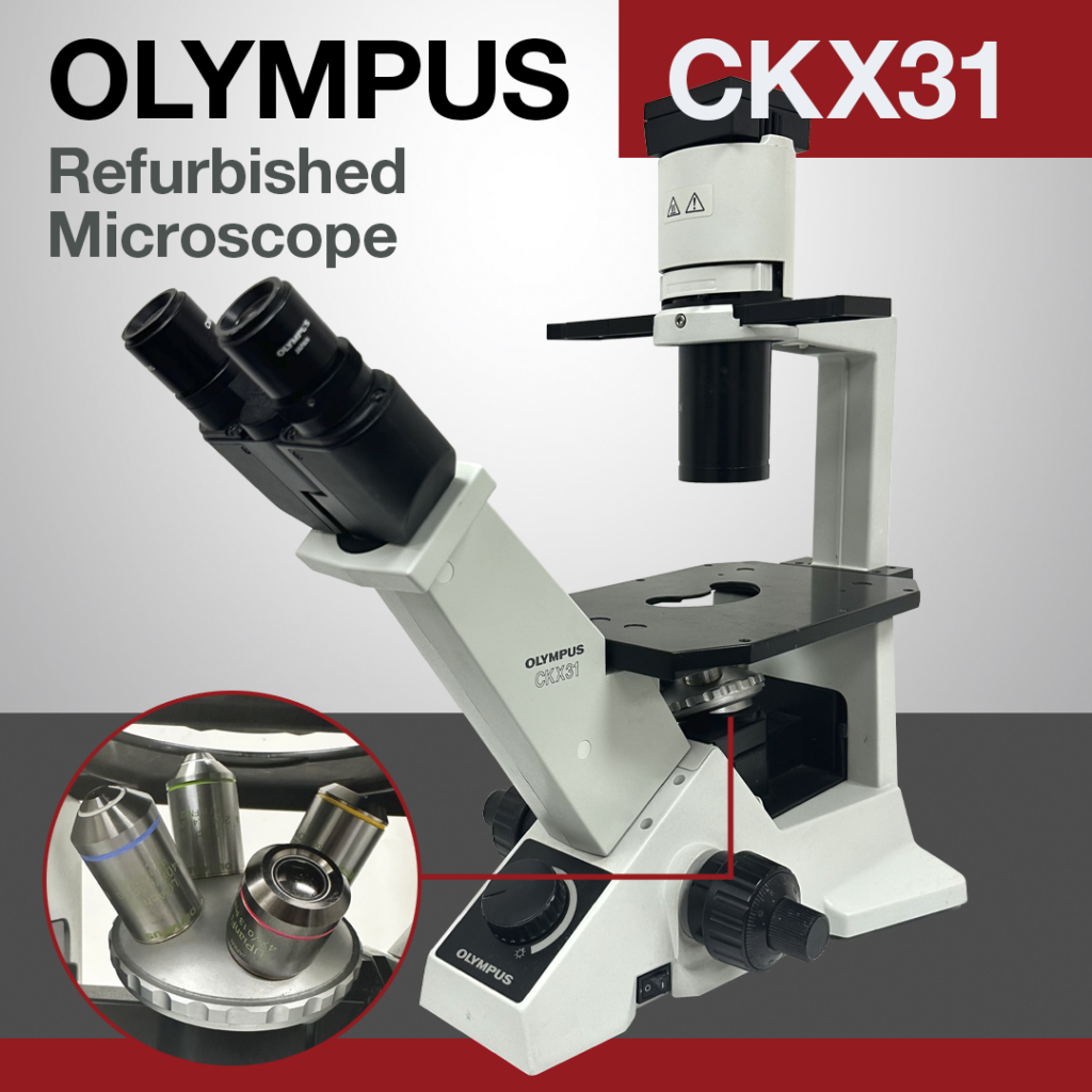 Olympus CKX31 Inverted Microscope with Objectives (Refurbished