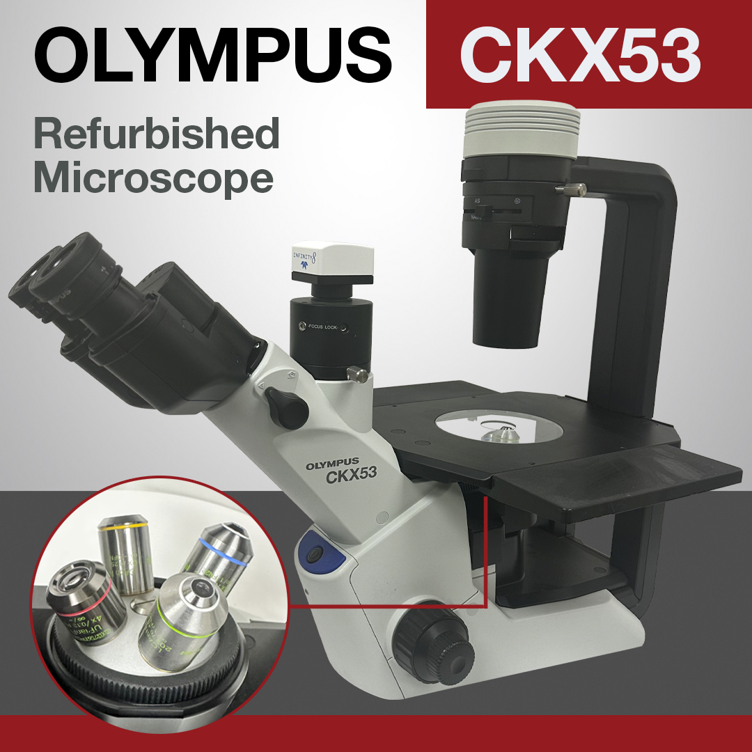 Olympus CKX53 Inverted Microscope with Trinocular Head, Objectives, and Warranty