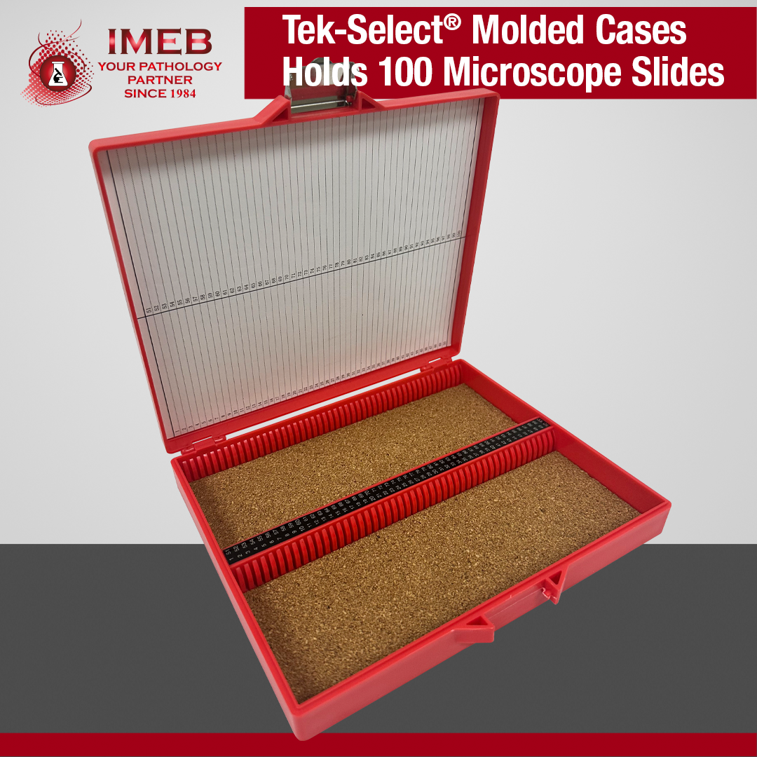 Red microscope plastic slide case holds 100